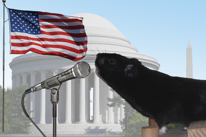 Squit, brother of Diddley Squat, chosen as running mate